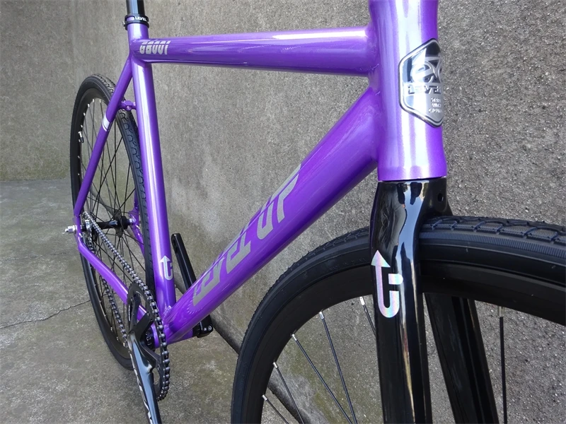 Level Up GB001Fixie Bike Single Speed Aluminum Alloy Frame