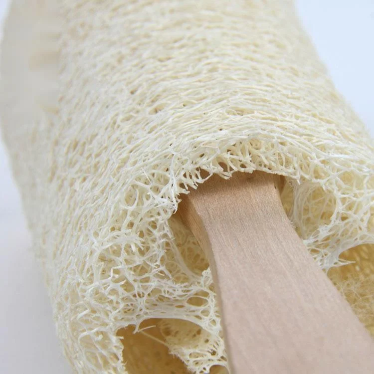 Natural Luffa Rolling Back Brush Hot Selling Handheld Long Handle Massage Brush Rubbing Back Bath Brush Supplies