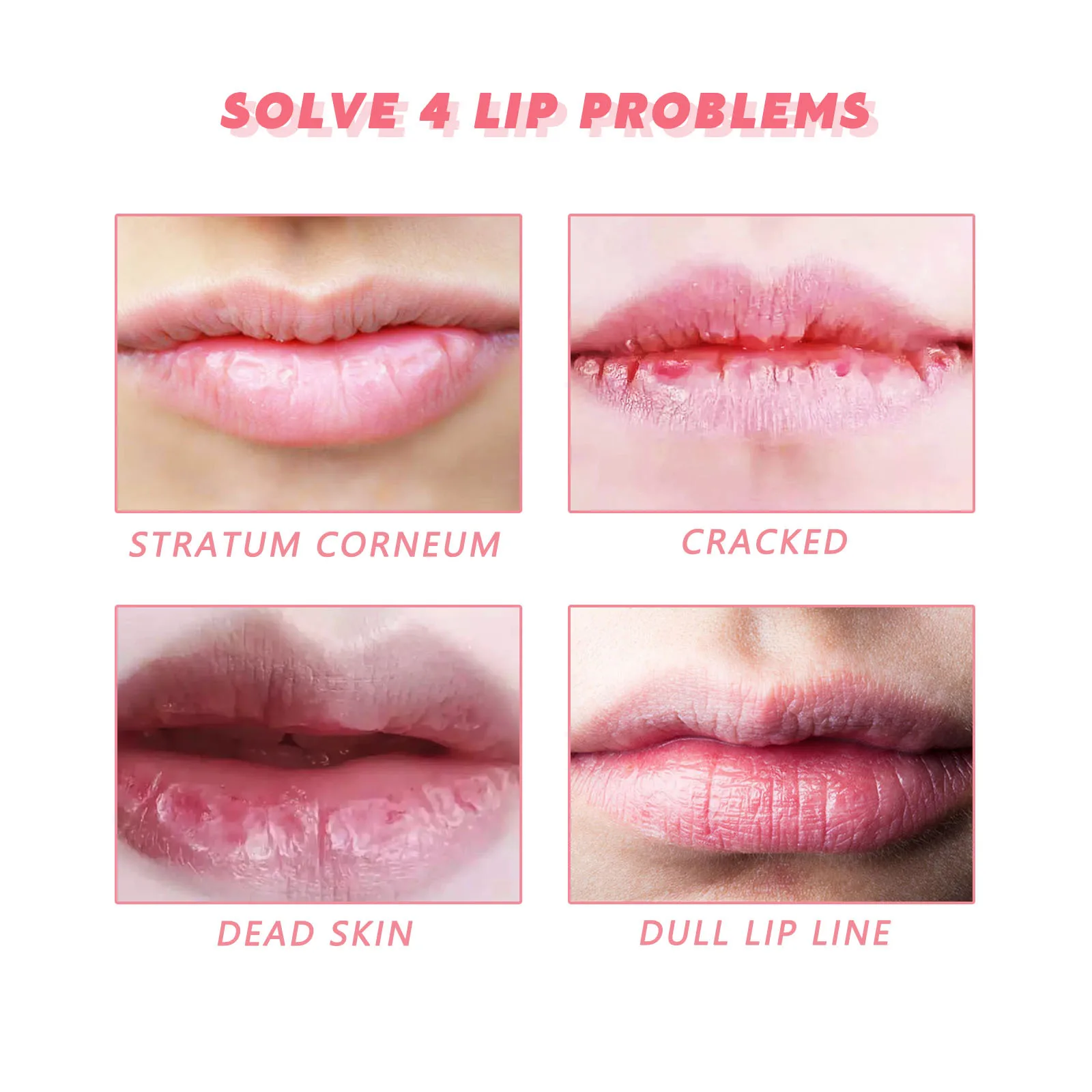  ũ    ̵ ,   ,  ʸ ȭ, Ʈ ȷ  ũ