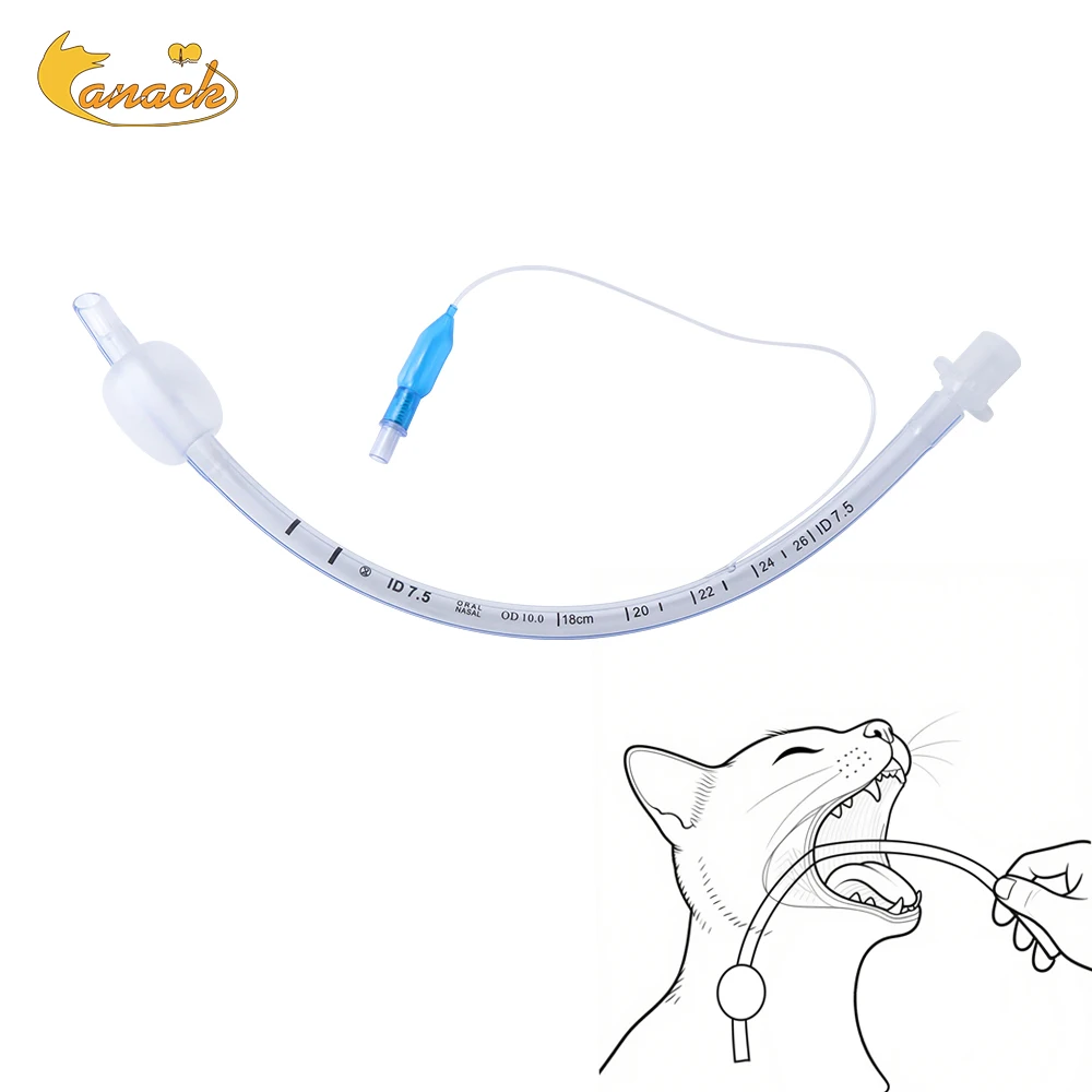 Pet Disposable Sterile PVC Endotracheal Tube With Cuffed High Volume Low Pressure Cuff X-Ray Visible Line Veterinary Equipment