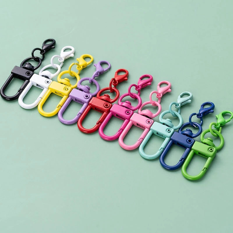 10 teile/los Bunte Karabiner Haken Schlüsselbund Mit Hummer Matel Verschlüsse Für DIY Schmuck Machen Hund Schnalle Neckalce Zubehör – Detail 7