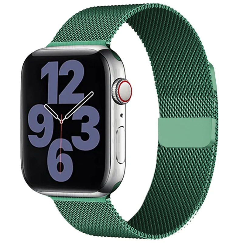 Luxurious Milanese Loop Metal Band