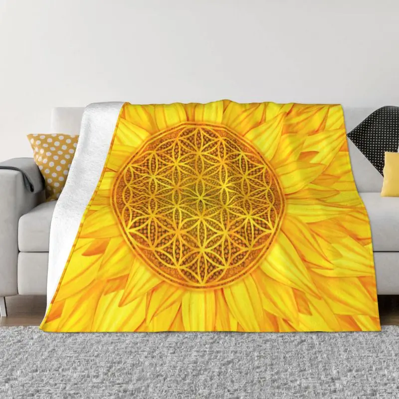 ���� ���� �ö��� ������ ���, �繫�� ħ�� ���� ��, �ε巴�� ������ �������� ������, ���� ����, ���ٶ� ������ ��