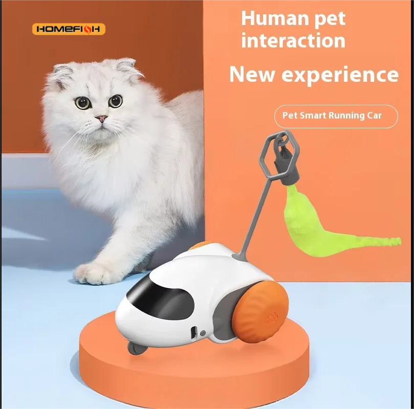 Interactive Cat Toy for Indoor Cats