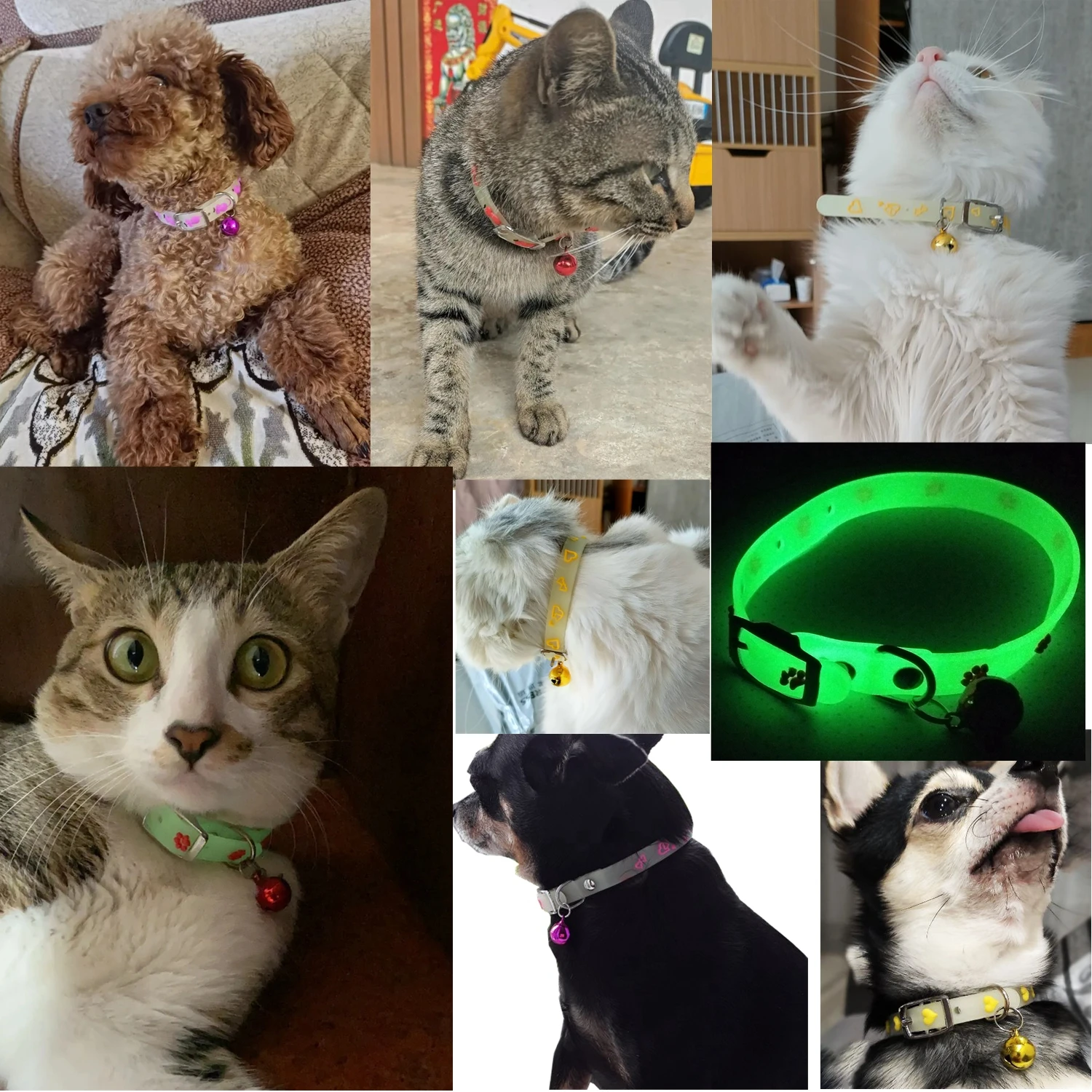Title 13, Pet Dog Cat Glowing Collars with Bells Glow at ...
