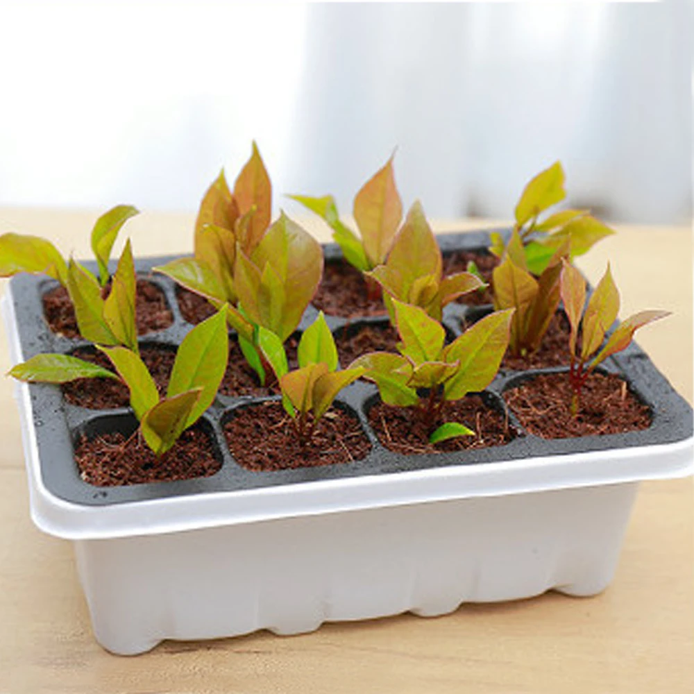 

1Set Breathable Cover Nursery Pots Cuttage Seedling Cultivation Grow 6 Cells 12 Cells Indoor terrariums for plants