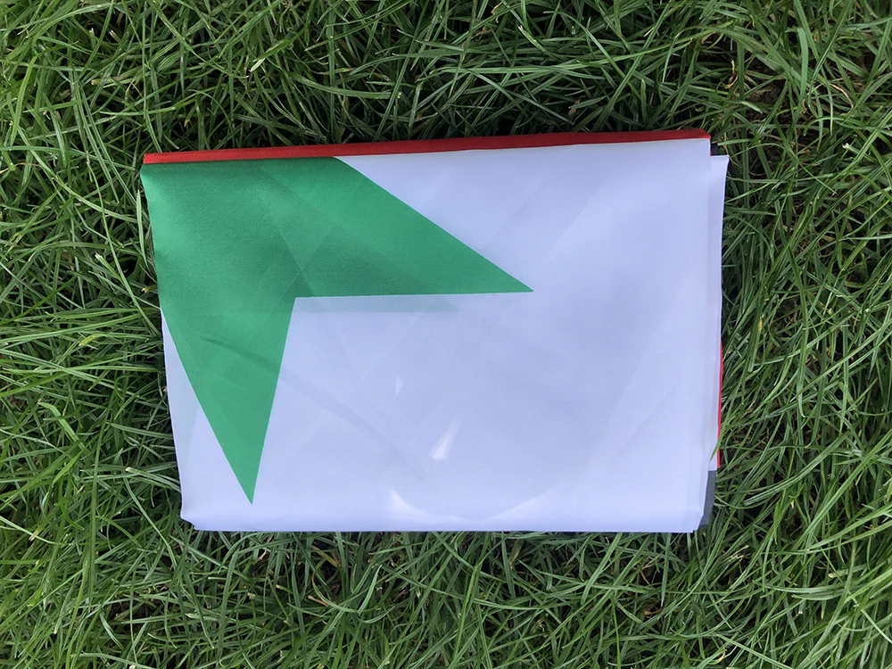 Aerlxemrbrae flagge 90*150cm Syrien flagge 100% Polyester 2 Seiten Gedruckt  Nationalen Flagge Syrien banner - AliExpress