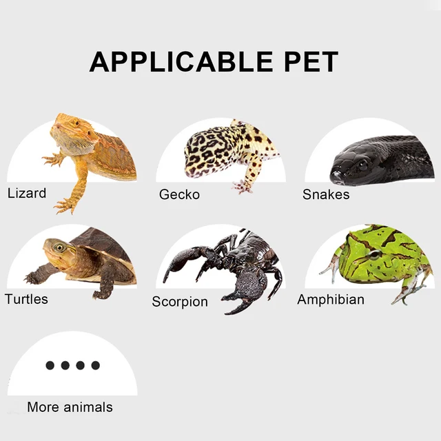 Heat Mat for Reptiles Under  Heat Pad USB Reptile AntiScratch Heating Pad Waterproof Heat Mat for Reptiles Tortoise Lizard 4