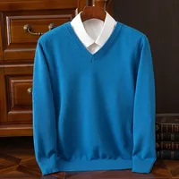 Men's 100 Pure Mink Sweater V-Neck Pullover Cashmere Knitted Bottom Sweater Sweater New High-End Casual Top In Autumn Winter 1