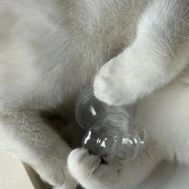 Transparente Haustier Fell Andenken Flasche Haustier Katze Haar Lagerung Jar Kawaii Katze Pfote Form Candy Gläser Mehrzweck Haustier Memorial geschenk – Detail 7