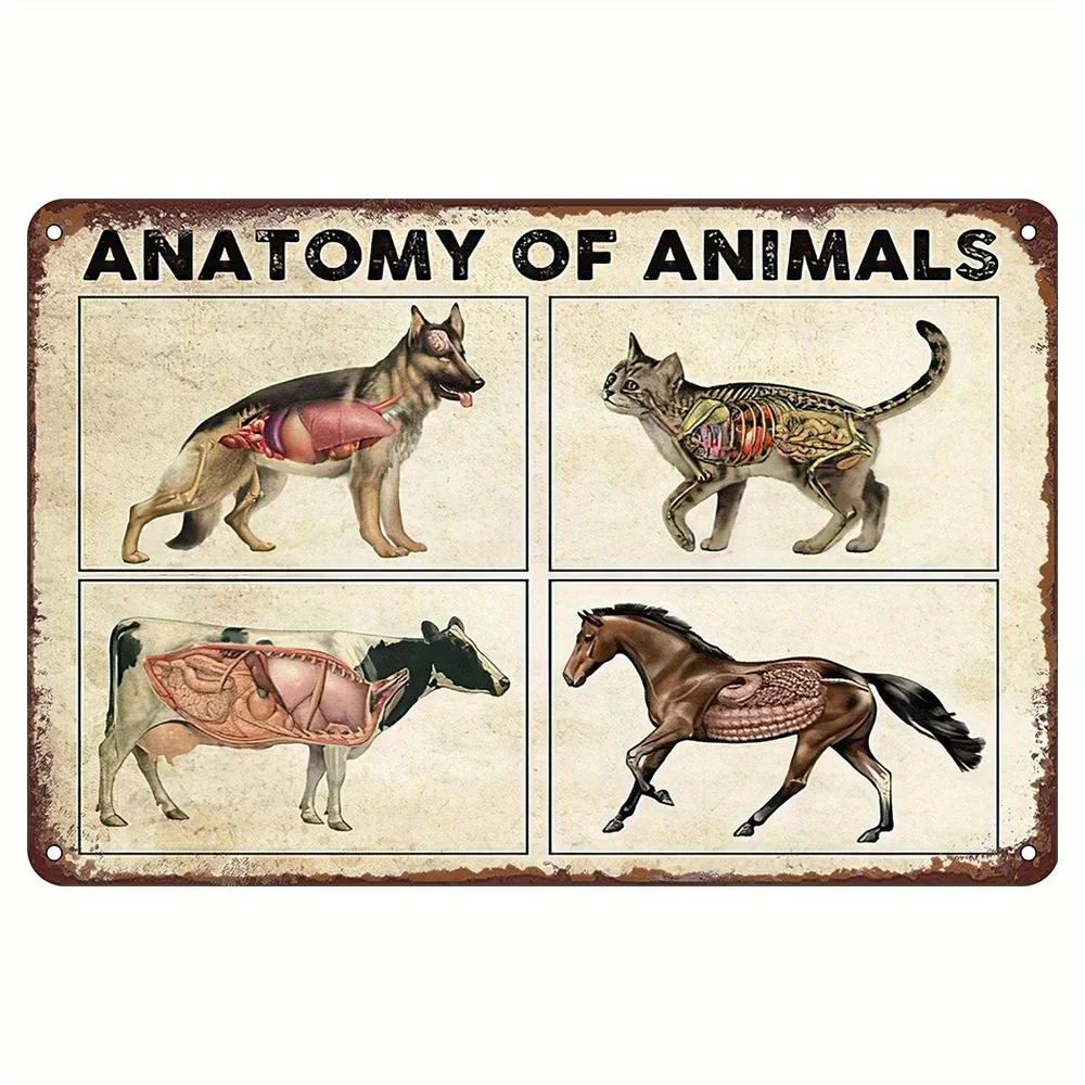 

Anatomy of Animals Metal Tin Signs, Gift for Veterinarian Vintage Tin Sign Funny Wall Art Interior Decoration for Wall Decor