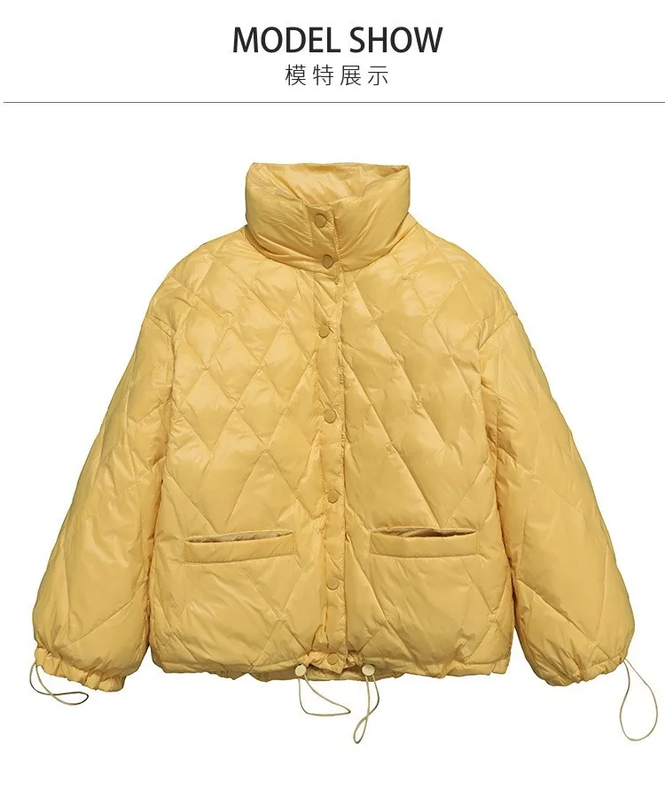 

2022 autumn and winter new light down jacket women's 90% white duck down stand collar loose commuter short jacket