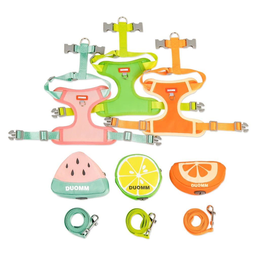Fruit Pet Backpack Harness Set 6