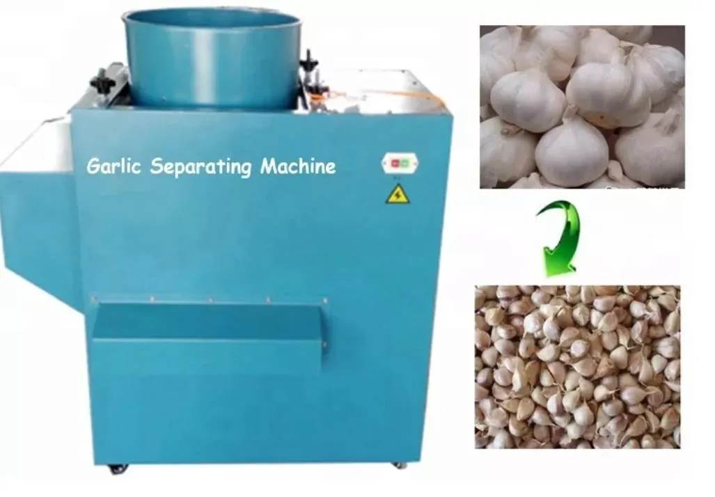 Automatic Garlic Splitter Machine Garlic valve separating machine / garlic  separator