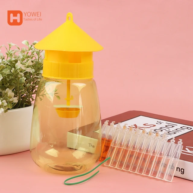 Gyümölcs Légycsapda Patkány Csapda Szúnyog Légy Swatter Szúnyogok És Pernilongop Gyilkos Drosophila Trap Fruit Fly Killer Catcher