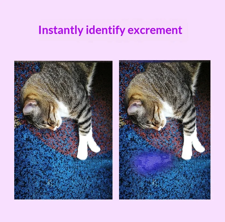 Uv Lamp For Ringworm Detection In Pets Portable Pet Skin Light_voghion.com