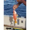 Thorforce 1 Piece Deep Casting Fish Rig with 5 Hooks Line Group Marlin Sea Tackle Big Game Fishing Trolling Lure 4