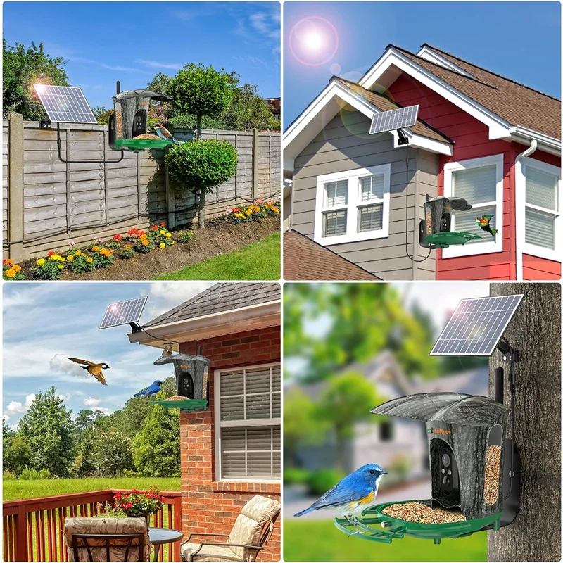 Smart Bird Feeder Camera with Solar Panel and HD Quality