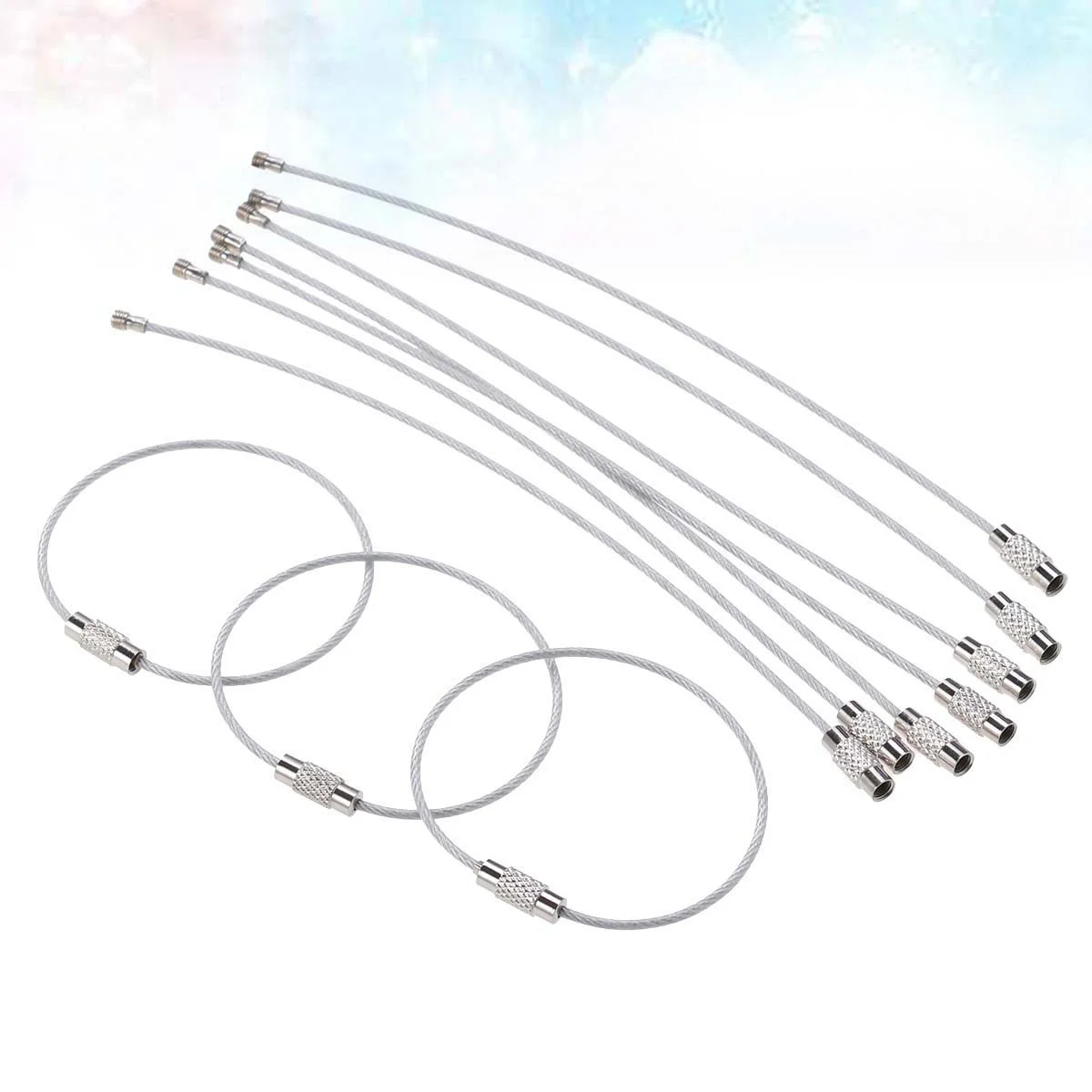 

10 Pcs Carabiner Keychain Rings The Wire Keychains Loop Stainless Steel Tag Keepers Labels