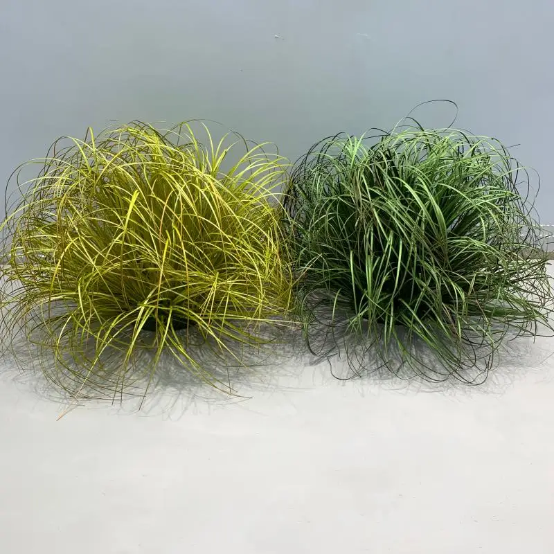 

False grass simulation cattail grass and green bristlegrass indoor plant landscaping grass false reed grass plastic micro-landsc