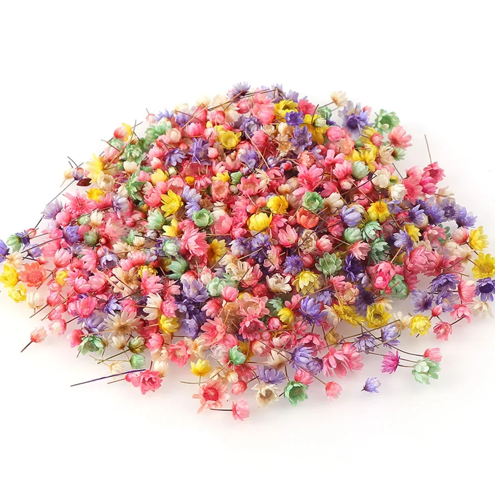 Artificial Flower 100/200PCS Dried Flowers Brazil Little Star Flower DIY Craft Epoxy Resin Candle Nail Art Epoxy Resin Filling Making Jewellery