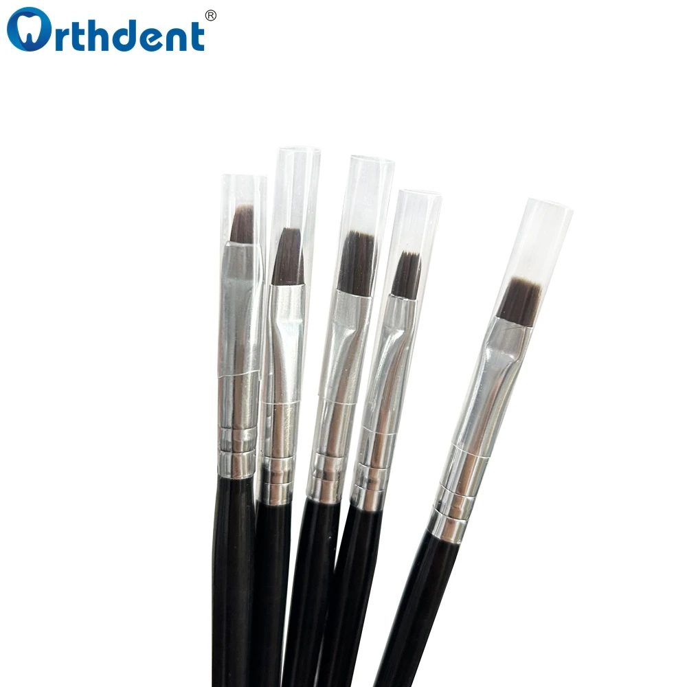 Dental Resin Brushes 5 Pcs Dentistry Shaping For Adhesive Porcelain Teeth Composite Cement Adhesive Dentist Oral Tools