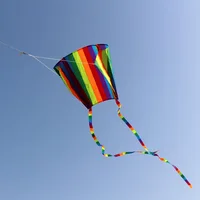 Rainbow Parafoil Kite Polyester Ripstop Flying Kite Kid Adult Outdoor Flying Toy, Flower 2