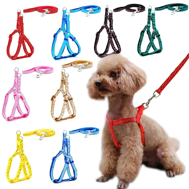 Arnés para perro pequeño y gato, correa ajustable, chaleco, Collar para  cachorro, caminar al aire libre, Chihuahua, Terier, Schnauzer - AliExpress