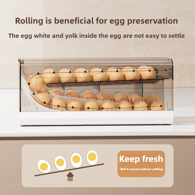 Kitchen Automatic Rolling Egg Holder 6