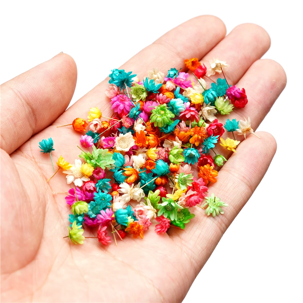 1g 140pcs Dry Flower head Dried Flowers for Resin Molds Fillings Epoxy  Resin Pendant Making Craft DIY Nail Art Decoration - AliExpress