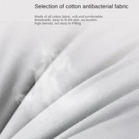100% Cotton Soy Fiber Pillow