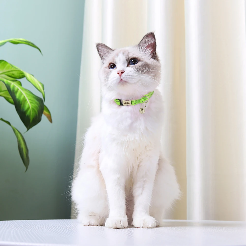 Personalized Cat Collar Reflective Nylon Puppy Cats Collars Adjustable Kitten Small Dogs Necklace With Bell Customized For Cats 5