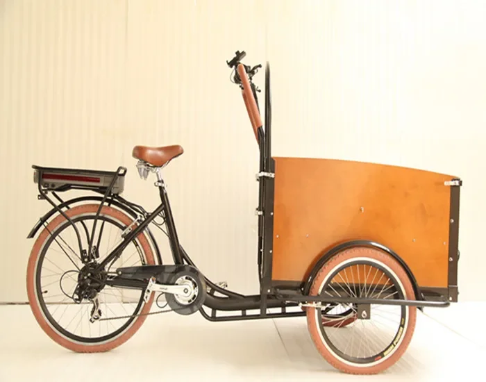 electric dutch cargo bike