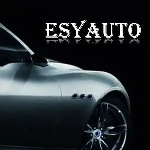 ESYAUTO Store