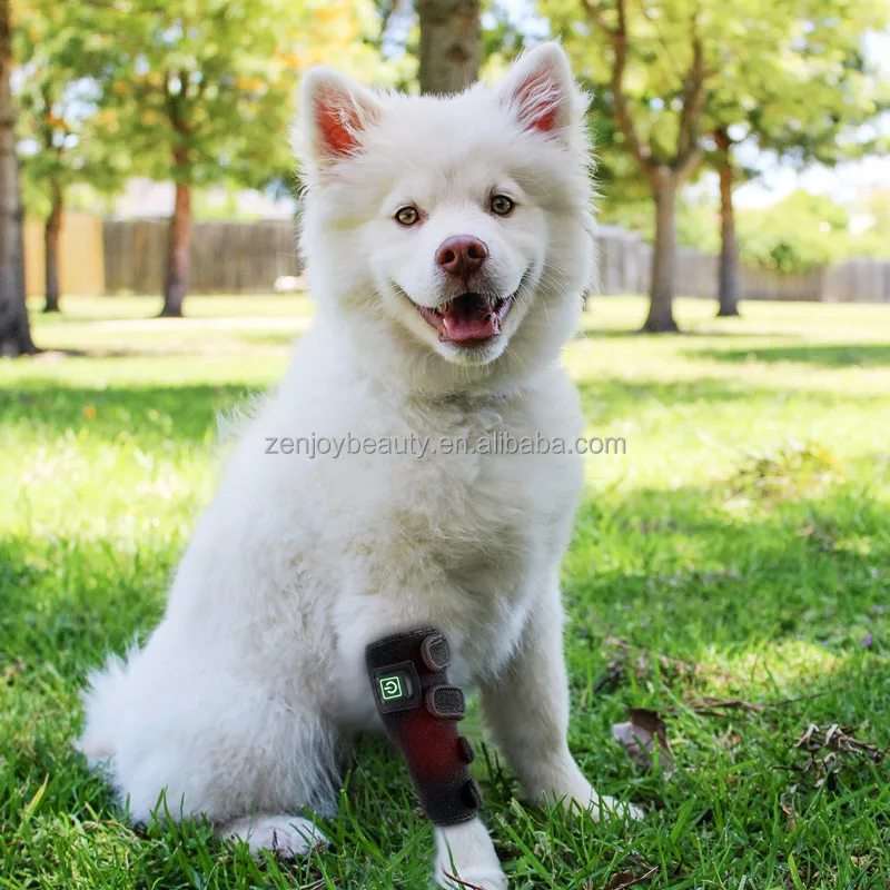 Built in battery 660nm 850nm near infrared red light therapy pad 0 EMF for dogs cat pet pain relief Paw