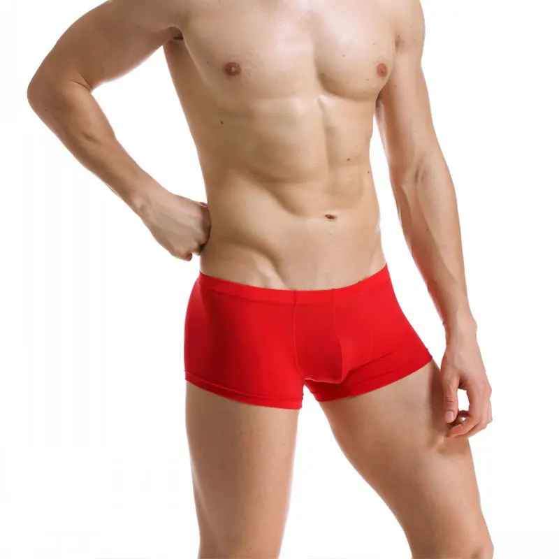 

Summer Men Boxers Ice Silk Seamless Underwear Sexy Thin Low Waist Underpants Shorts Transparent Breathable Panties Calzoncillos