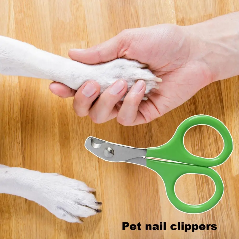 Dog Nail Trimmer Professional Pet Nail Clippers for Cats Dogs Sturdy Sharp Grooming Supplies for Easy Trimming Toe Pet Puppies