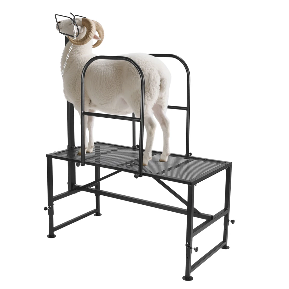 Adjustable Height Goat Trimming Milking Stand