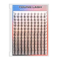 YOUNG LASH 10 paquets/lot Cils en grappes DIY 100% faits à la main Extensions de cils en matériaux de qualité supérieure sans cruauté animale 3