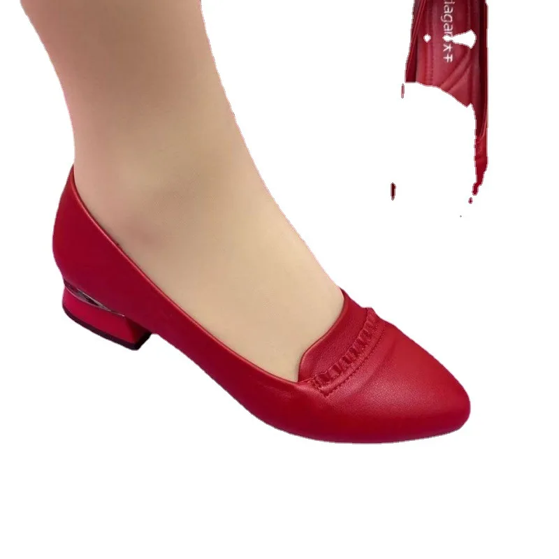 Single Shoes Thick Heel Genuine Soft Leather Women's Spring and Autumn Non-slip Soft Bottom Leather Fashion Pointed Shoes