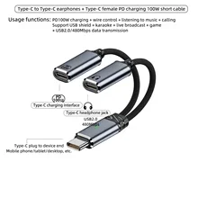 Dual Function USB - C Audio and Power Adapter with 100W Fast Charging Capability (Gray)