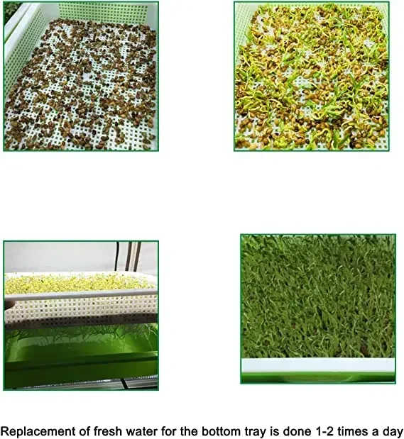 Germination Tray Seed Germination Tray Seedling Tray Wheatgrass Seed Planting Soilless Cultivation Planting Pot 6