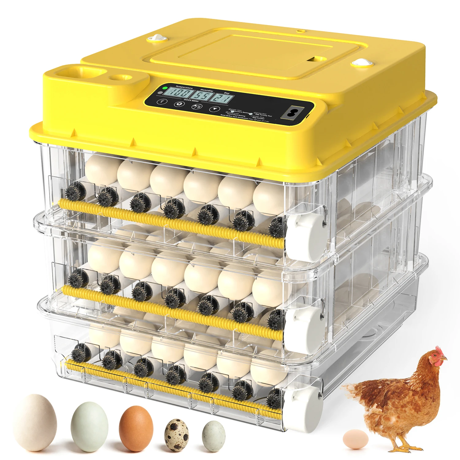 108 Eggs