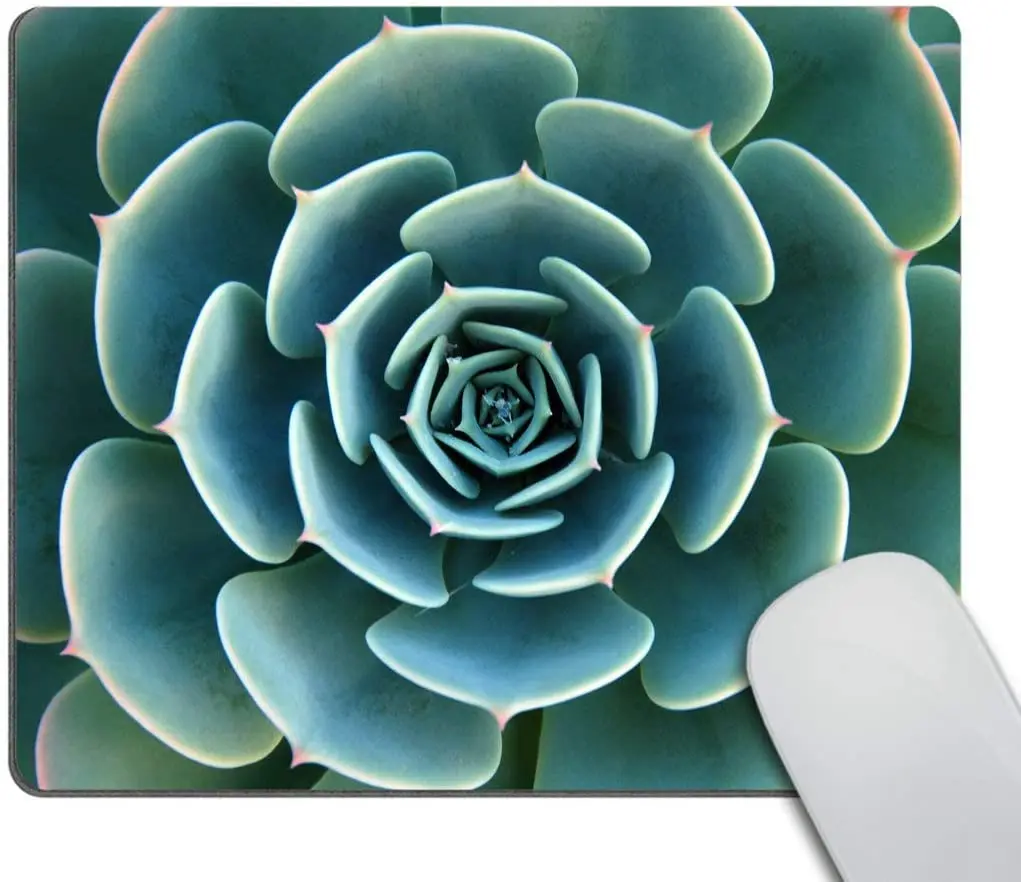 

Aloe Succulent Plant Gaming Mouse Pad Custom Green Customized Rectangle Non-Slip Rubber Mousepad 9.5X7.9 Inch 240mmX200mmX3mm