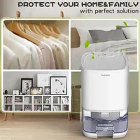 Déshumidificateur portatif pour filtre à Air maison Mini déshumidificateur chambre bureau silencieux Absorption d'humidité petit déshumidificateur 6