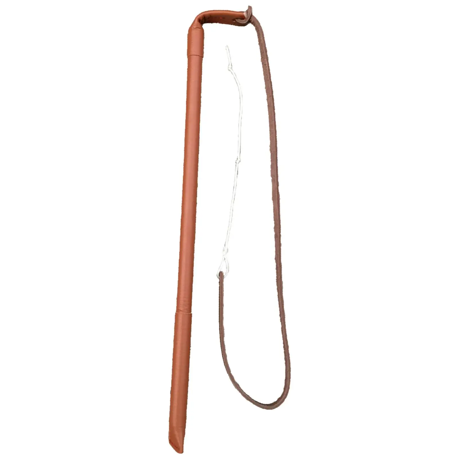 Professional Dog Training Agitation Whip Aggressive Pets Obedience Entertainment Agility Training Exercise Toy
