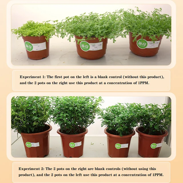 Huminsav Folyékony Műtrágya Otthoni Kertészeti Talaj Tápanyag -Oldat Szerves Virág Zamatos Cserepes Gyökérzet 40 Ml - Image 4