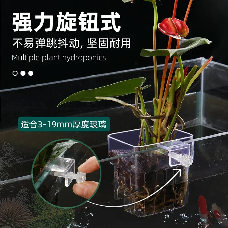 Hanging Aquarium Planter Cups Wall Mounted Aquatic Plants Holder Fish Tank Ornaments