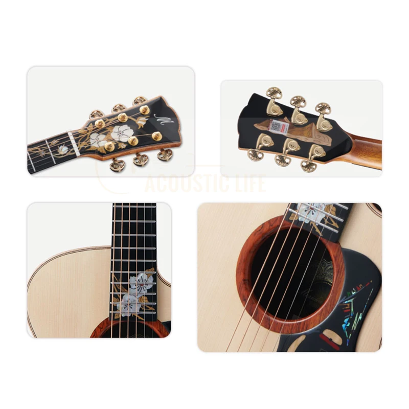 Merida アコースティックギター Amazon.co.jp: Merida Andradin Solid Stroceトップ