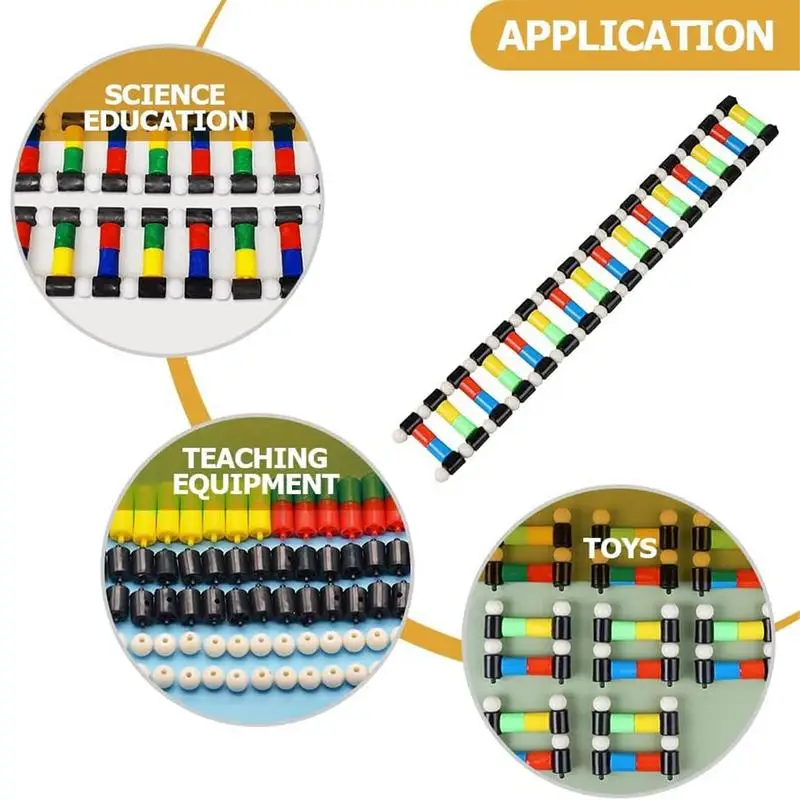 DNA Double Helix Model Kit 5